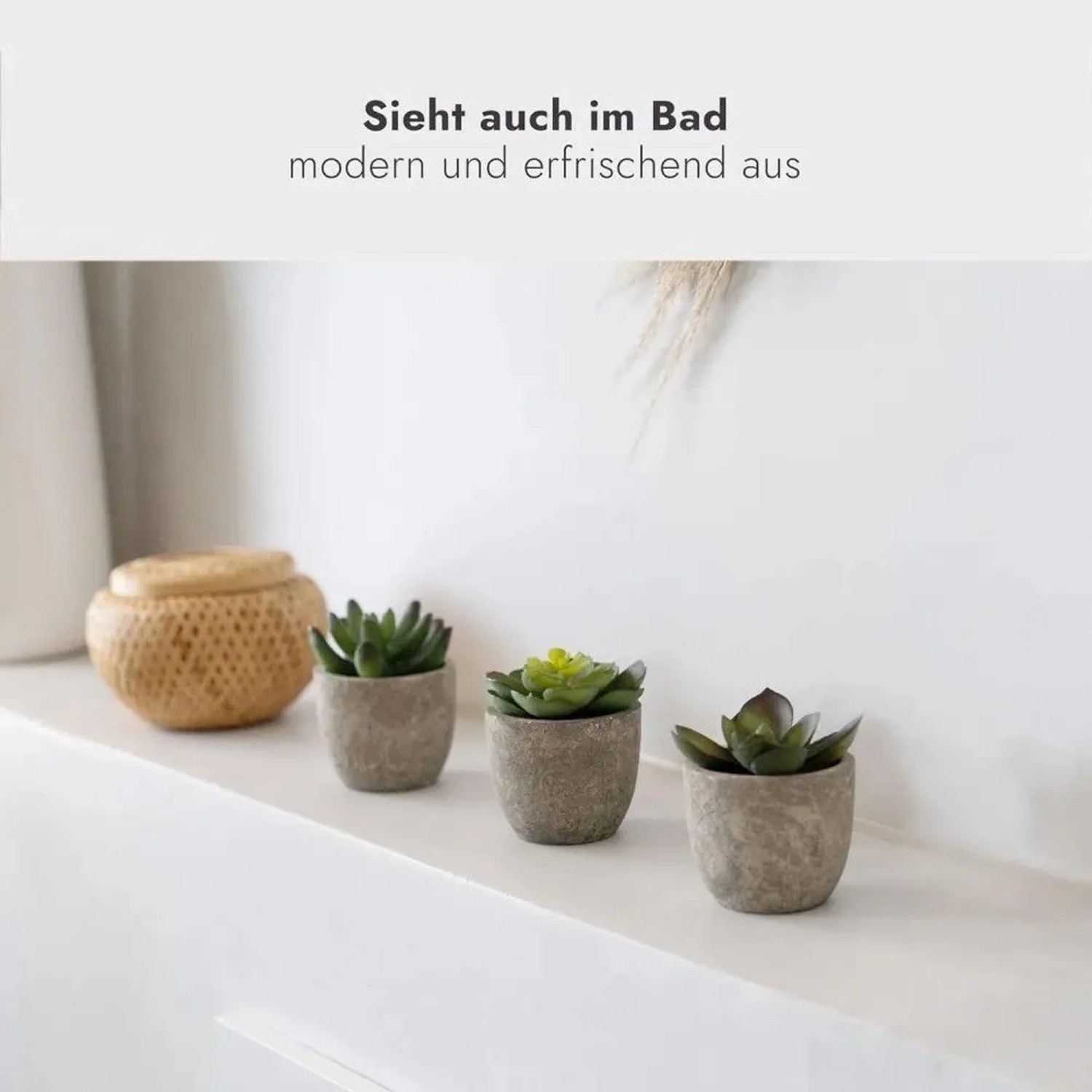 6er Set Kunstpflanzen Sukkulenten in Töpfen mit Steinoptik, Deko für Bad und Wohnzimmer.