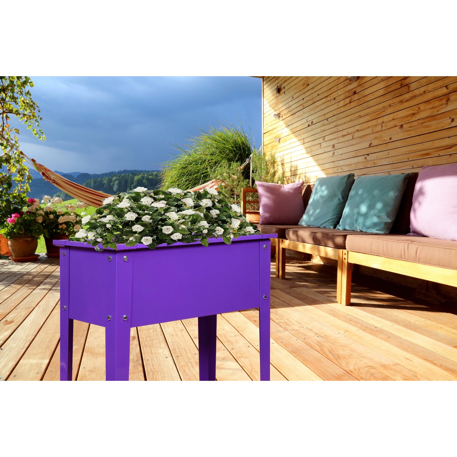Lila Floraworld Hochbeet Season, 60x30x80 cm, bepflanzt mit weißen Blumen, für rückenschonendes Gärtnern.