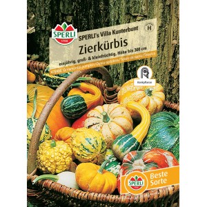 Sperli Saatgut Zierkürbis 'Villa Kunterbunt' im Korb, verschiedene Formen und Farben.