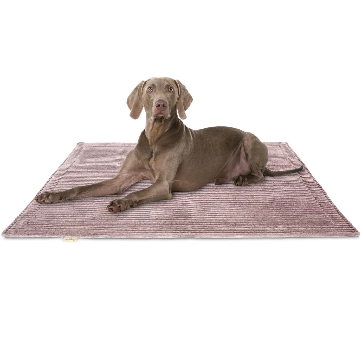 Hund liegt entspannt auf rosa Knuffelwuff Hundematte Timor Cord 140x100cm. Gemütliches Hundekissen.