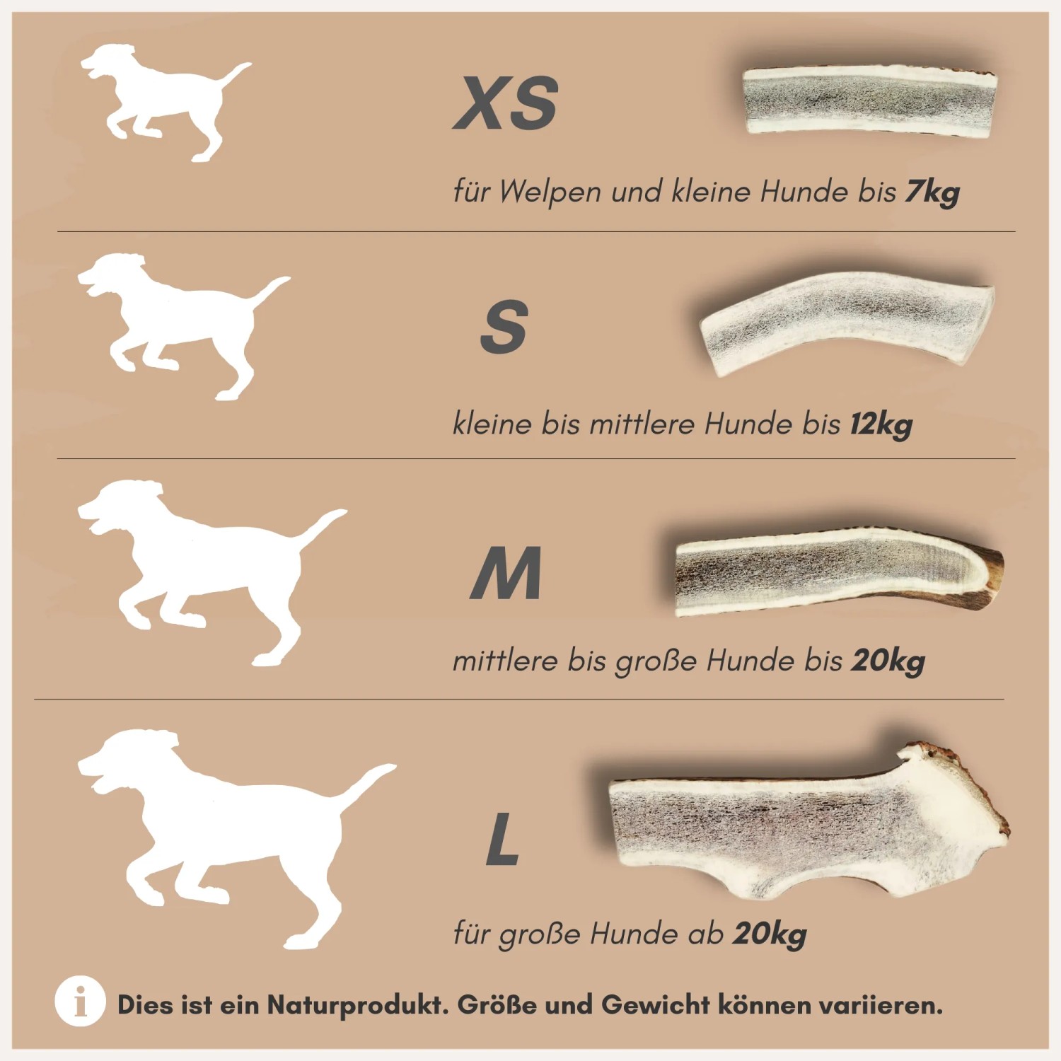 Supravit Hirschgeweih Größenvergleich: XS, S, M, L für Hunde unterschiedlicher Größe.