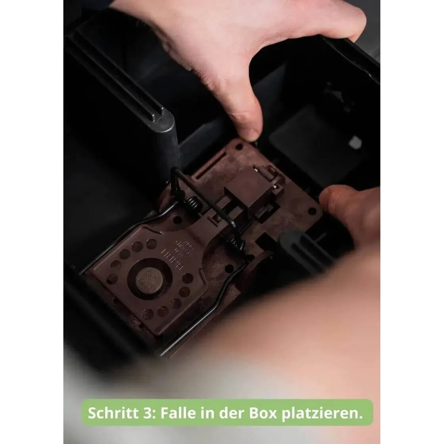 Rattenfalle in Köderbox platzieren. Ratten bekämpfen im Garten mit Schlagfalle.