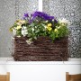Kapkörbchen Busch im Topf (Ø 14cm) mit bunten Blüten im Weidenkorb.