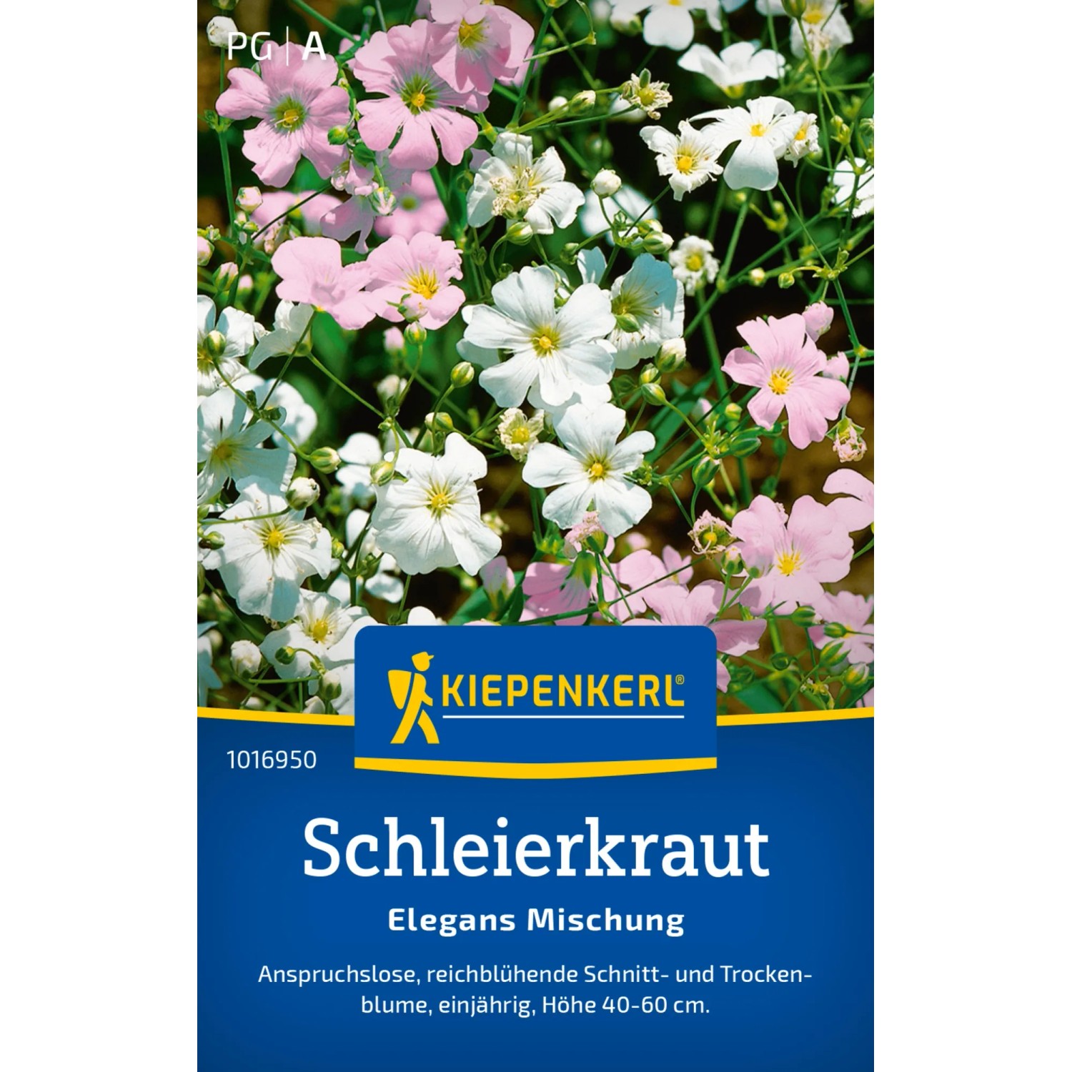 Kiepenkerl Schleierkraut "Elegans Mischung" Gypsophila