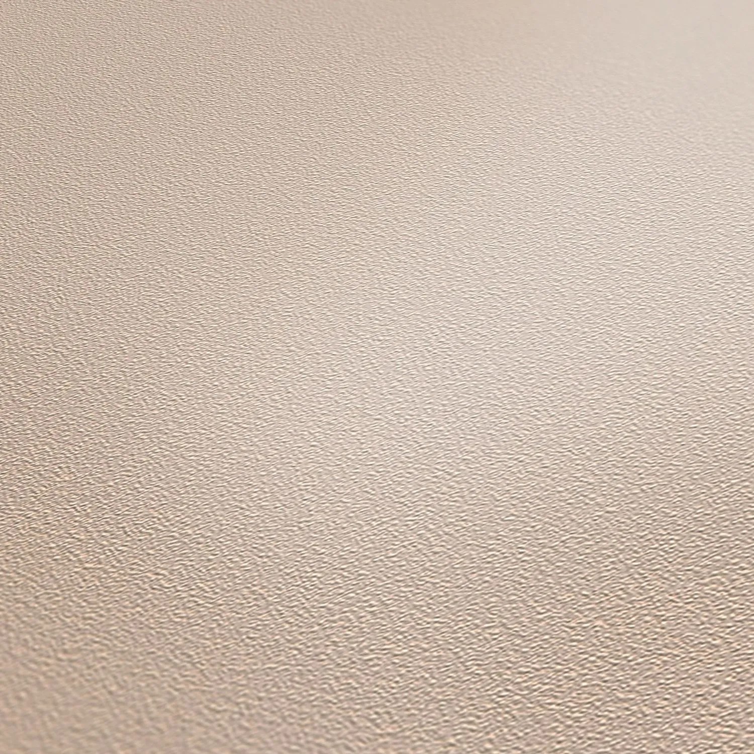 A.S. Création Vliestapete Meistervlies Protect Color Beige mit Putzstruktur.