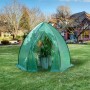 Grünes WOLTU Foliengewächshaus/Überwinterungszelt im Garten mit Pflanzen.