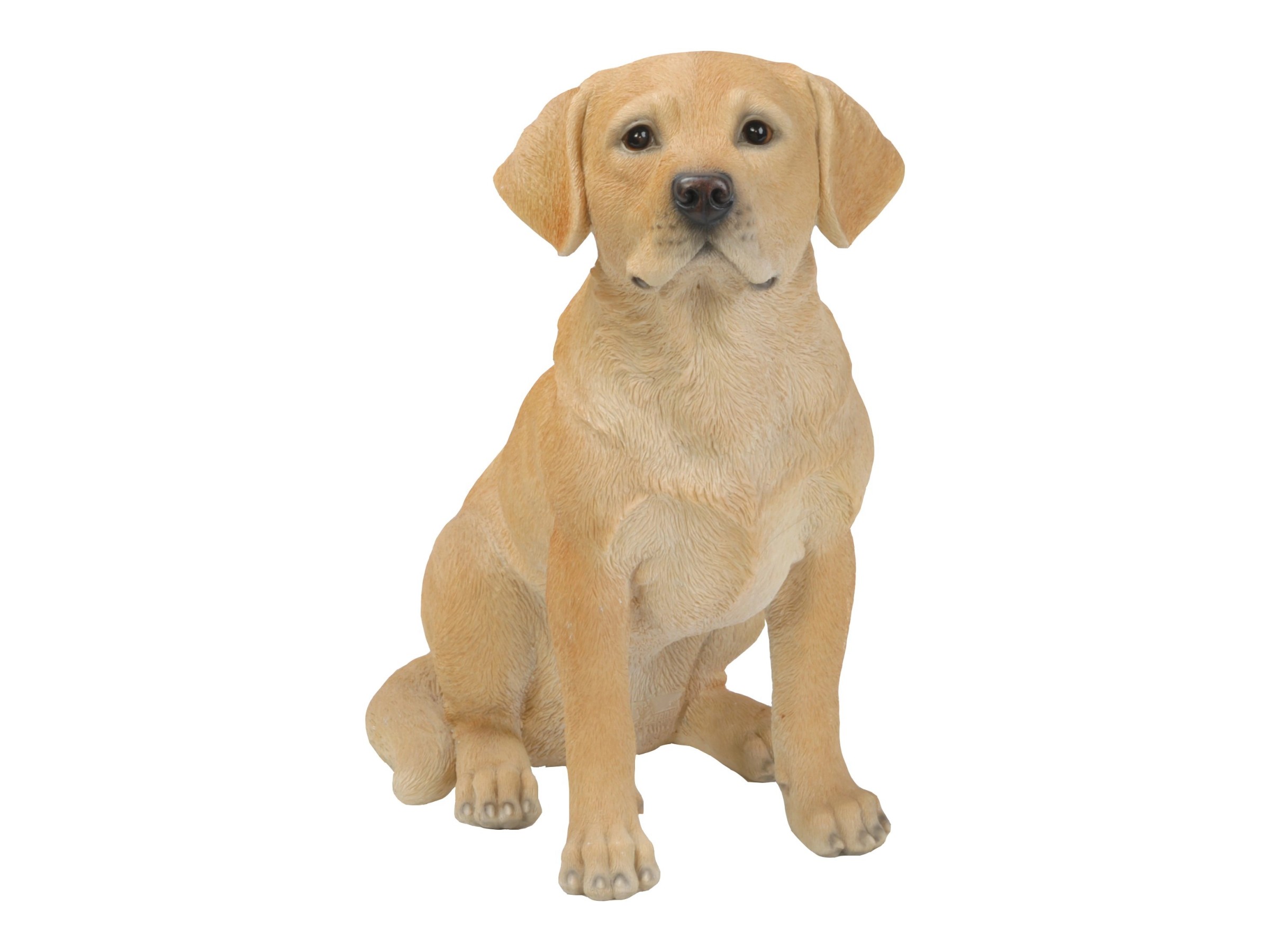 Hundeschild Aus Metall – Brauner Labrador Retriever, DIN A3, UV-beständig Für Den Außenbereich