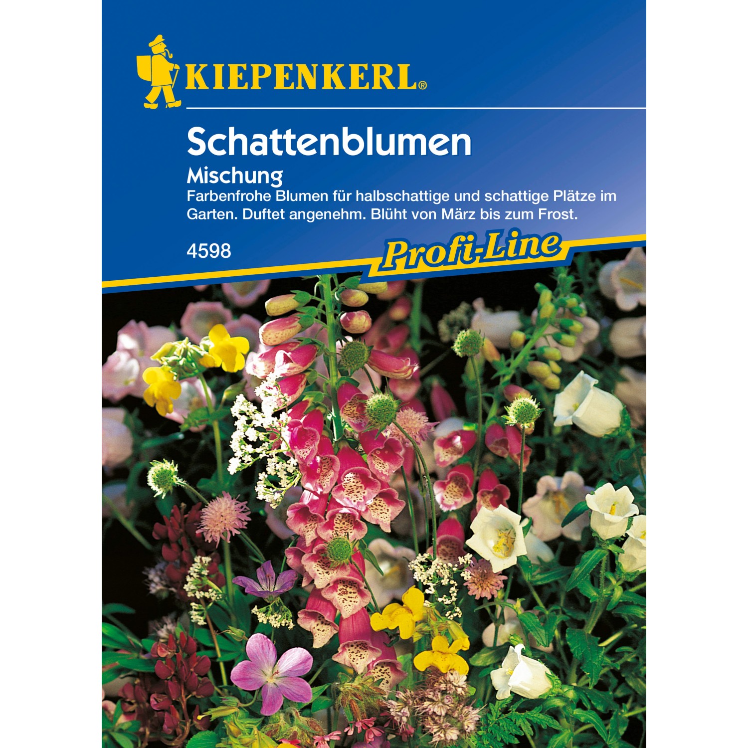 Schattenblumen Mischung