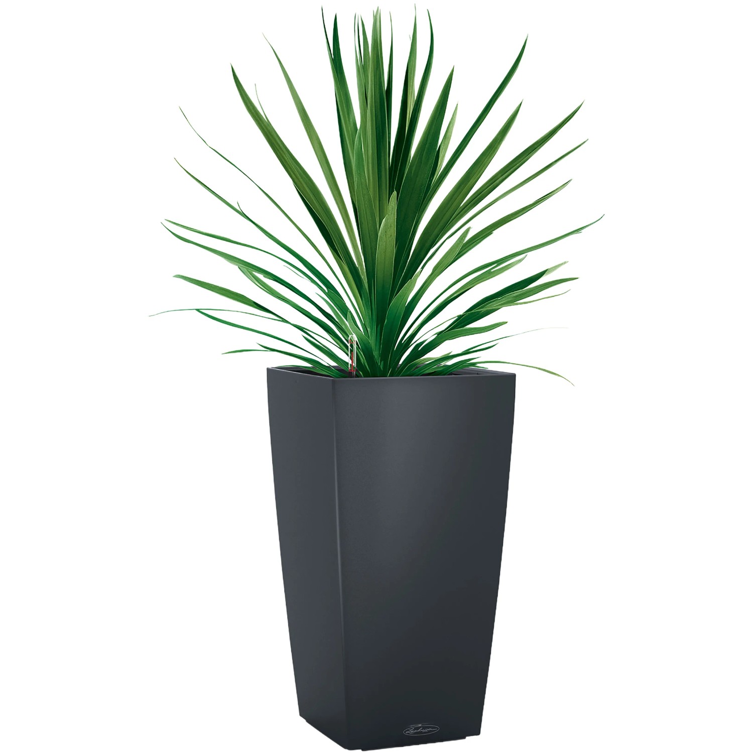 Lechuza Cubico Color 22 Pflanzgefäß in Schiefergrau mit grüner Pflanze, geeignet für Innen- und Außenbereich.