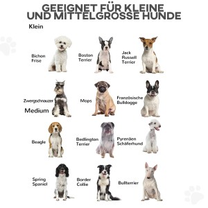 Geeignete Hunderassen für das PawHut Türschutzgitter: Kleine bis mittelgroße Hunde.