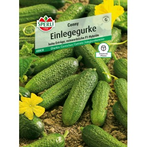 Sperli Einlegegurken Conny F1-Hybride, widerstandsfähige Gemüsesamen für hohe Erträge.