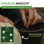Hände säen Rhabarber Rot Samen in einen Topf. Grüne Packung mit Anzuchtanleitung für Gemüse. Perfekt für Garten.