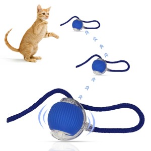 PETSATION interaktiver Katzenball in Blau, ein Spielzeug zur Förderung der Intelligenz und Aktivität von Katzen.