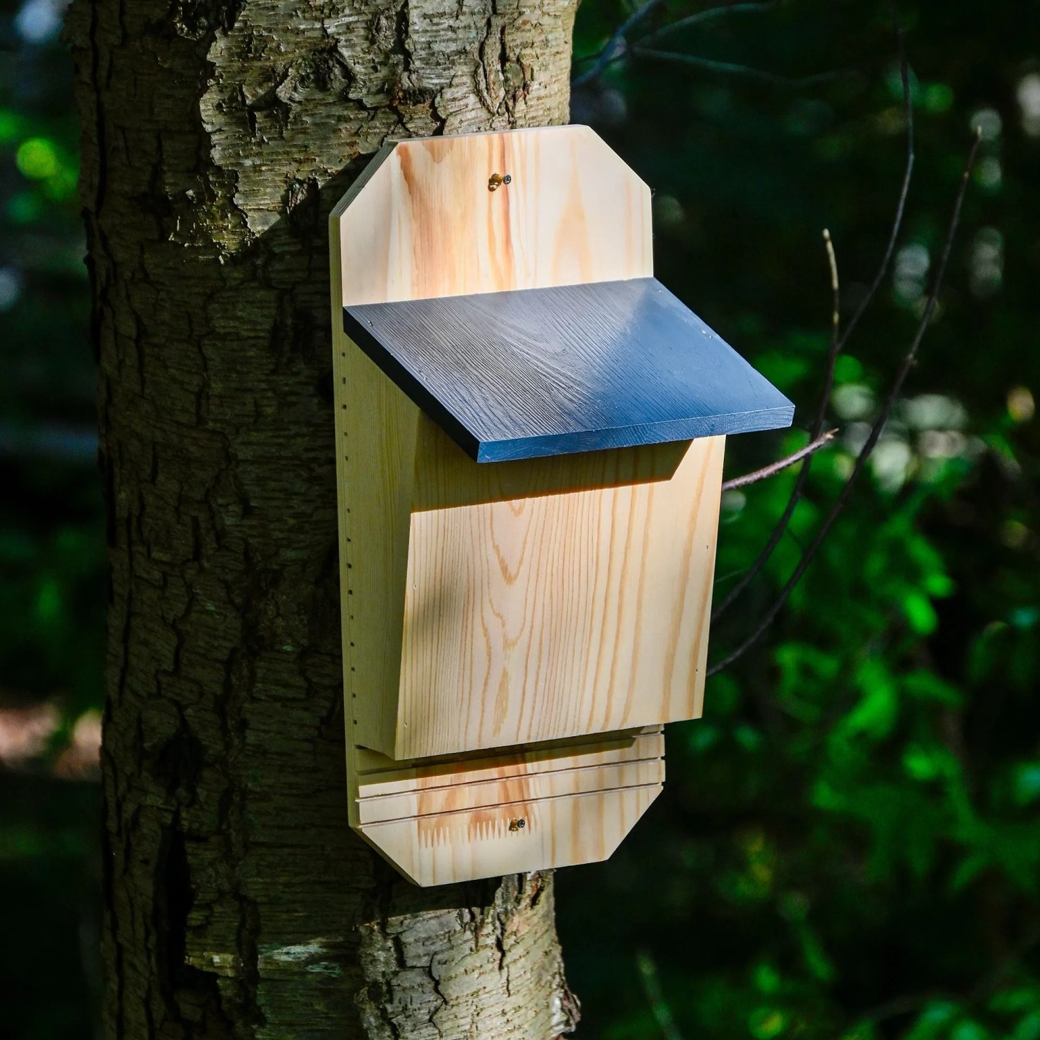 Dobar Holz-Fledermauskasten Microchioptera am Baum. Heller Holzkasten mit dunklem Dach für Fledermäuse.
