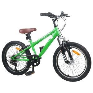 vidaXL Mountainbike 20 Zoll 6-Speed für 5-8 Jahre Alt Grün 42009742