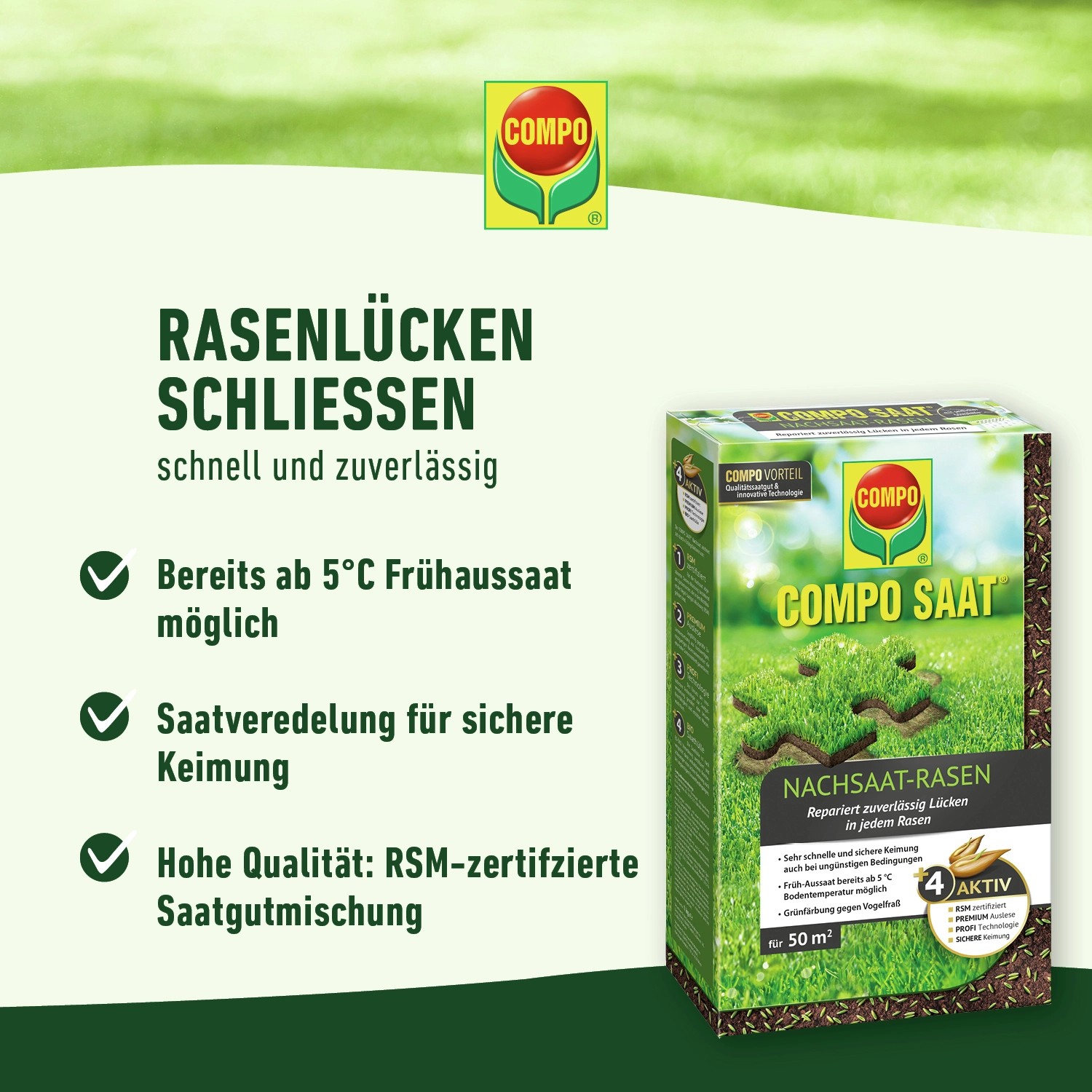 Compo Saat Rasen-Nachsaat 500g: Packung Rasensamen zur Reparatur von Rasenlücken für dichten, grünen Rasen.