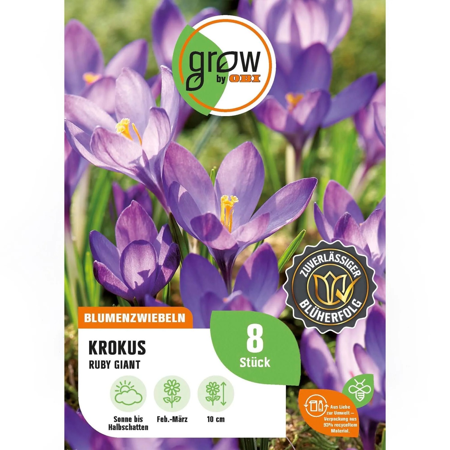 GROW by OBI Krokus Ruby Giant Blau 8 Stück Crocus tommasinianus Ruby Giant
