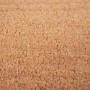 Jet-Line Fußmatte Johanna aus Kokos, 45x75 cm, antibakteriell und rutschfest.