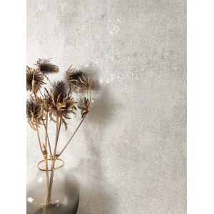 Moderne graue Vliestapete in Betonoptik mit Granitstruktur. Leicht glänzende Oberfläche. Mit getrockneten Disteln in Vase.