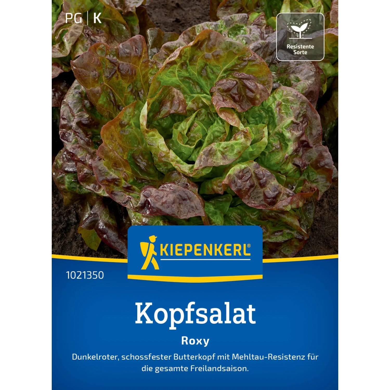 Kiepenkerl Kopfsalat "Roxy"