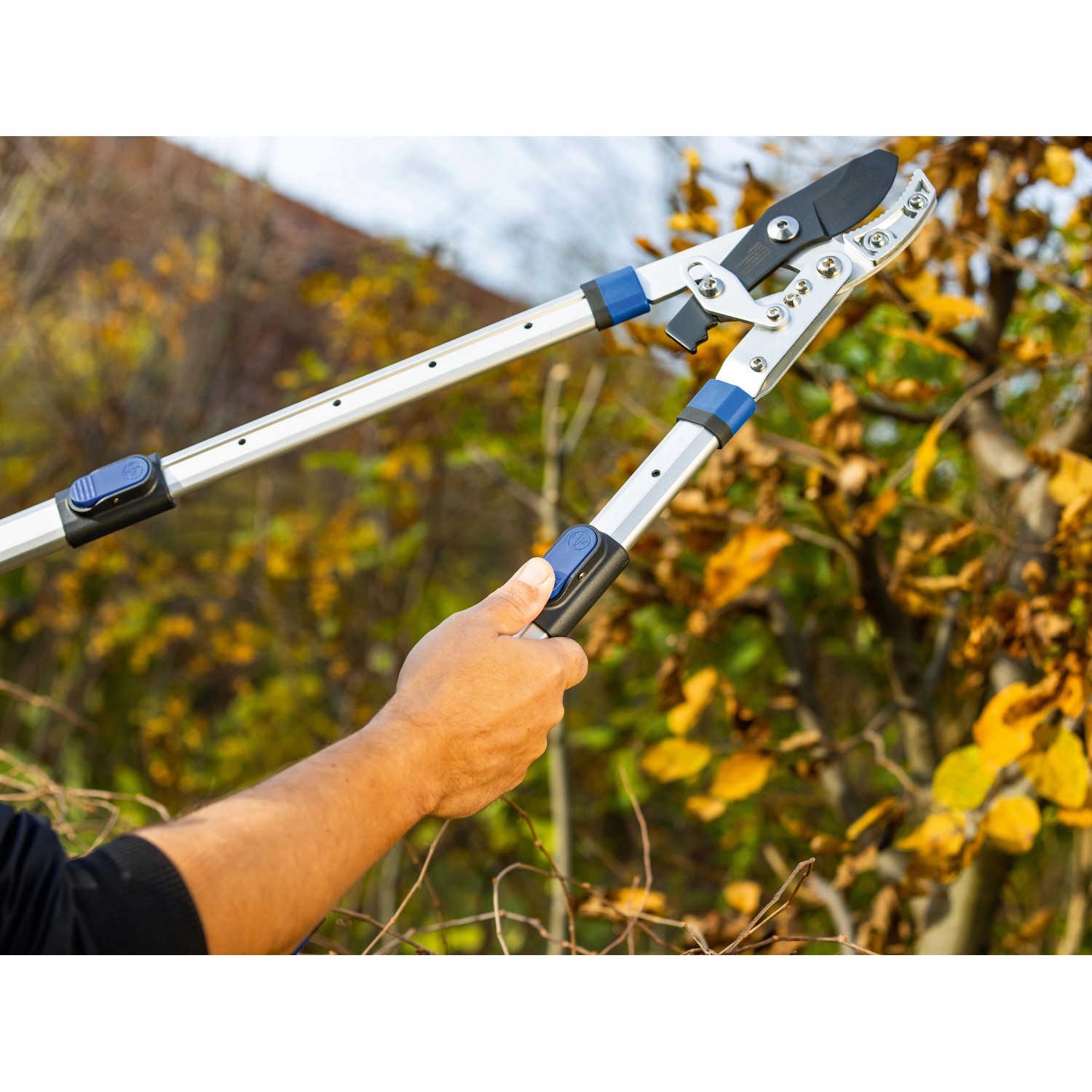 LUX Ratschen-Amboss Astschere Classic im Einsatz: Teleskop-Gartenschere schneidet Äste.