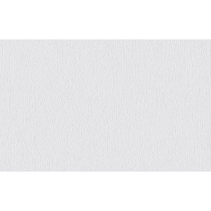 Weiße, überstreichbare Vliestapete Protect 214 mit feiner Struktur.
