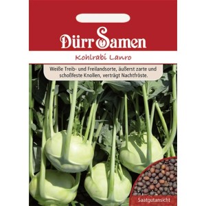 Dürr Samen Kohlrabi Lanro Saatgutpackung mit hellgrünen Kohlrabi-Pflanzen und braunen Samen.