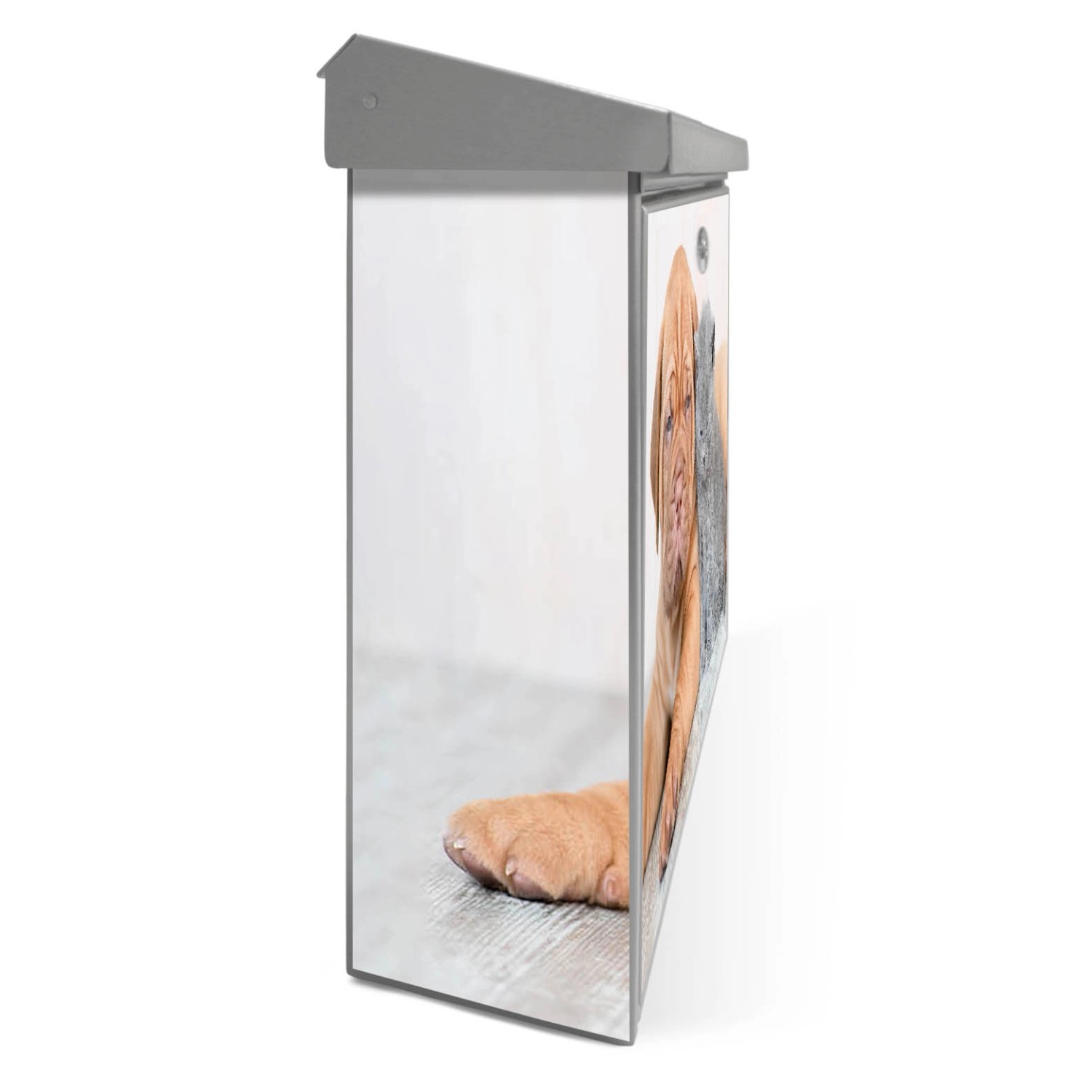 Banjado Edelstahl Briefkasten mit Hund und Katze Motiv, 38.5x31.5x12cm.