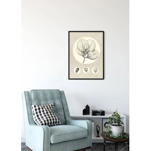 Komar Wandbild Transparent Leaf, 30x40 cm, Blätter-Motiv im schwarzen Rahmen.