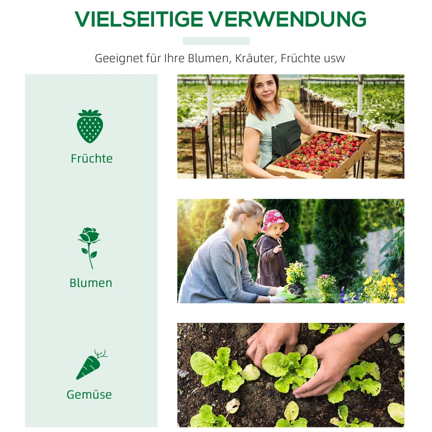 Anwendungsbeispiele für Furnicato Gewächshaus: Anzucht von Erdbeeren, Blumen und Gemüse.
