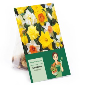 Narzissen Mischung, 15 Stück Blumenzwiebeln mit gelben, orangen und weißen Blüten.