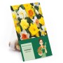 Narzissen Mischung, 15 Stück Blumenzwiebeln mit gelben, orangen und weißen Blüten.