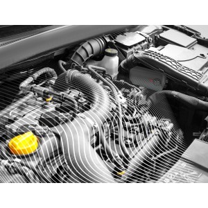 Marder Schreck Marder-Abwehrgerät im Motorraum, Marderschutz mit Ultraschall.