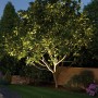 Baum beleuchtet mit Paulmann Plug & Shine LED-Bodeneinbaustrahler, warmweißes Licht.