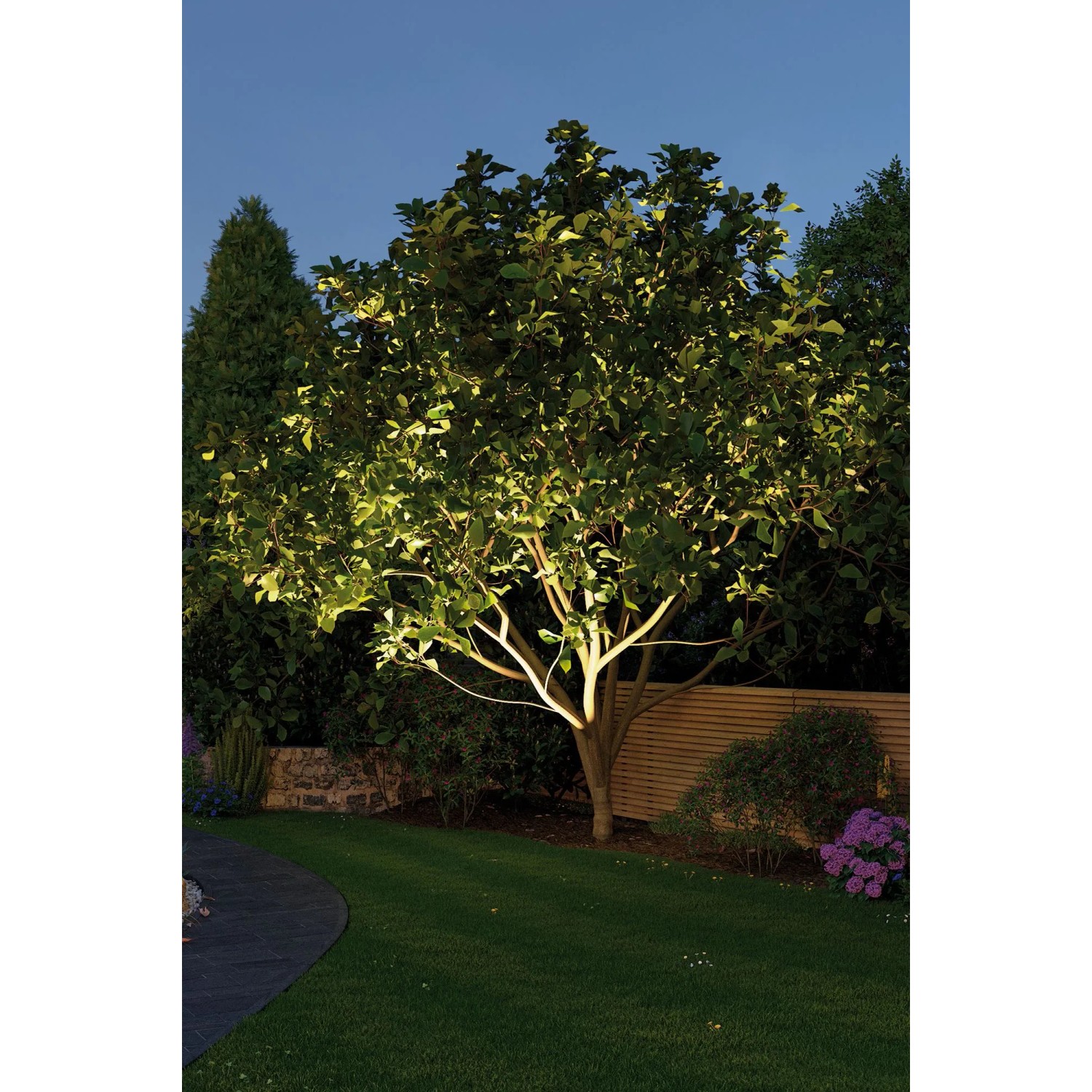 Baum beleuchtet mit Paulmann Plug & Shine LED-Bodeneinbaustrahler, warmweißes Licht.