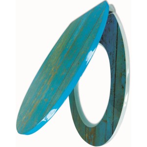 Sanitop-Wingenroth WC-Sitz mit Treibholz-Dekor und Absenkautomatik.