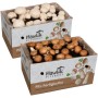 Hawlik Pilzbrut Pilzzuchtset-Bundle für Champignons mit 2 Großen Zuchtsets für Weiße und Braune Champignons Ideal für Anfänger