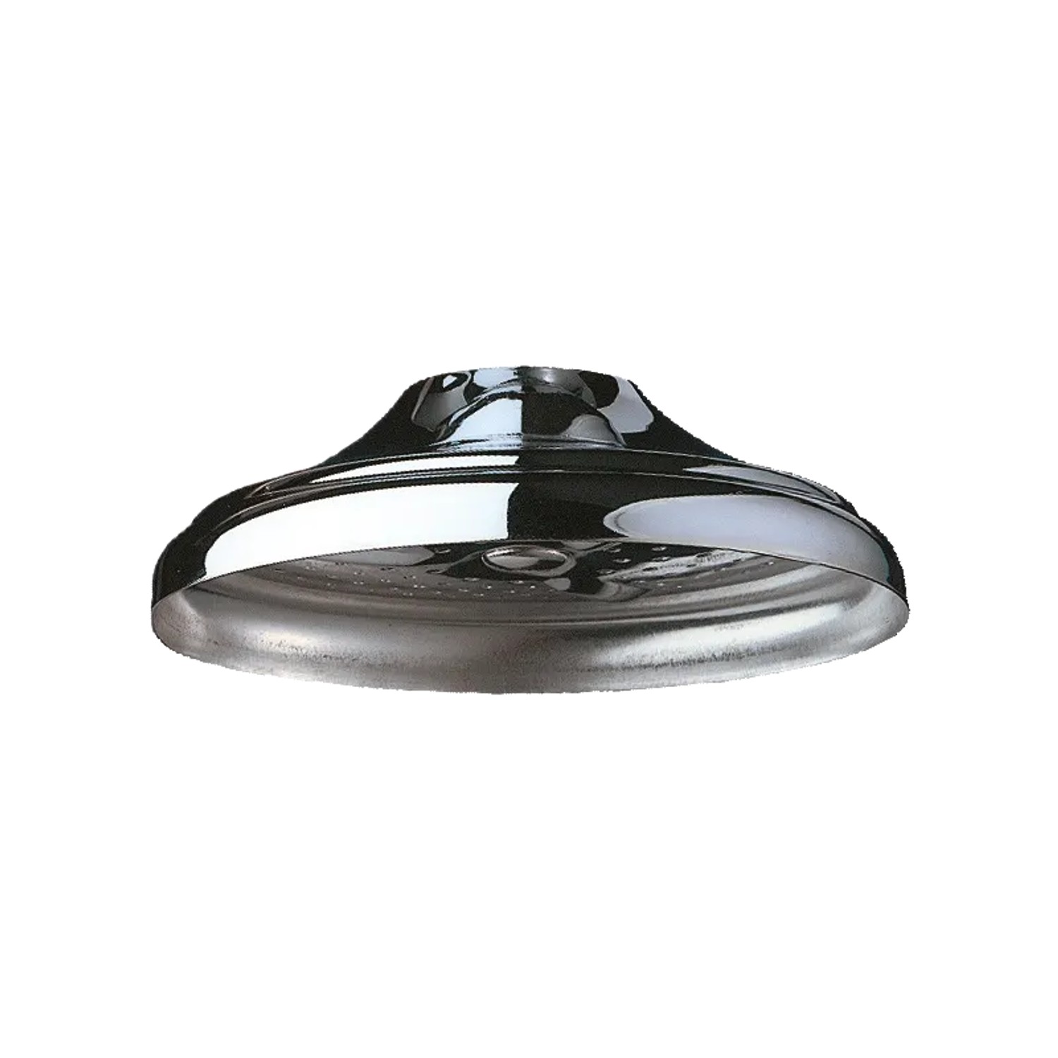 Delabie Brausekopf für Deckenmontage G1/2, verchromter Rand Ø 80 mm