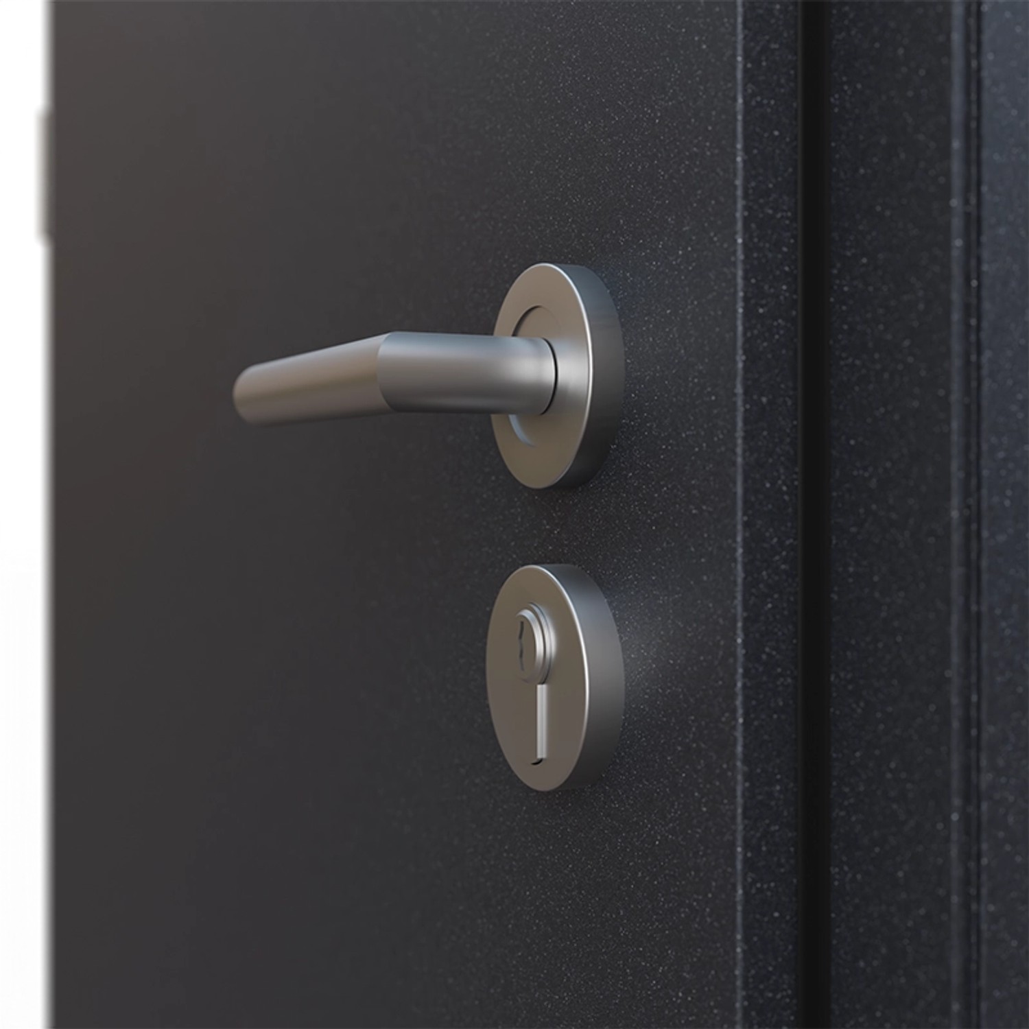 Detailansicht: Anthrazitfarbene FM Tür AS68 mit Edelstahlgriff und Schlossrosette.