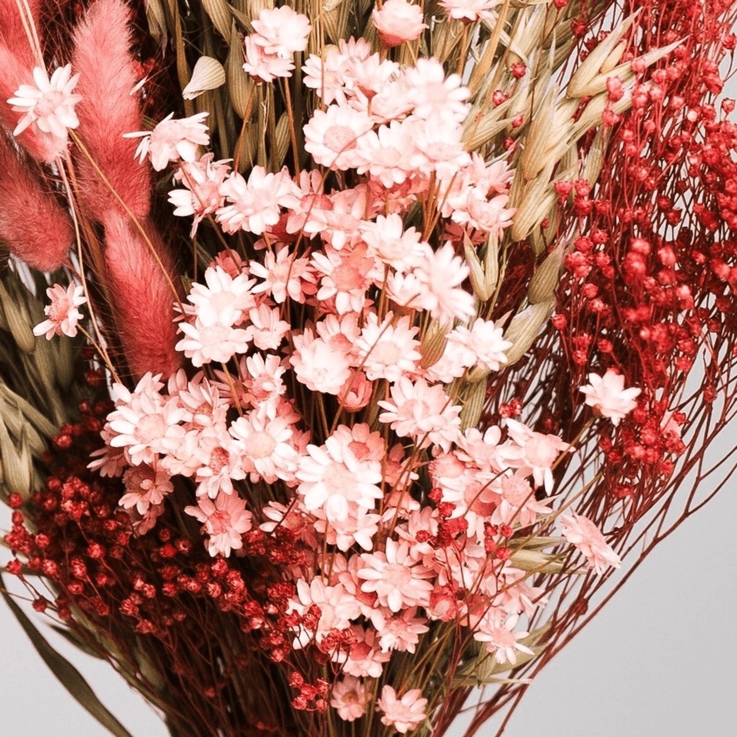 Lykke&You Ein Hauch von Rosa Trockenblumenstrauß mit Hafer Broom Bloom Lagu günstig online kaufen