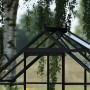 Detailaufnahme des Halls Gewächshauses Icon 6 in Schwarz, 2,5 m² mit Glasdach und schwarzem Rahmen.
