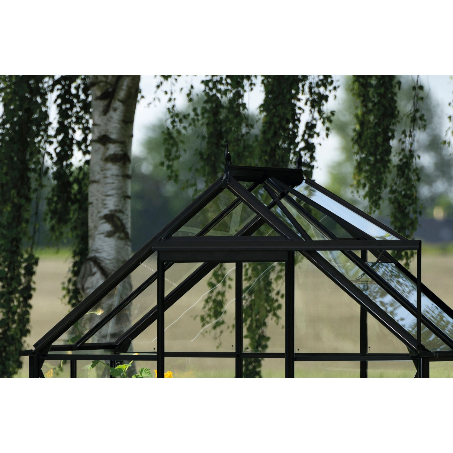 Detailaufnahme des Halls Gewächshauses Icon 6 in Schwarz, 2,5 m² mit Glasdach und schwarzem Rahmen.