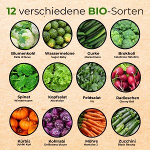 Seedhero BIO Gemüsesamen Set mit 12 Sorten: Vielfalt im Überblick.