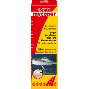 Sera Mycopur 50ml: Heilmittel gegen Verpilzung und Hautparasiten bei Zierfischen im Aquarium.