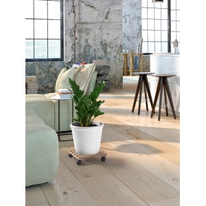 Eckiger Pflanzenroller aus Buchenholz, naturfarben, 30x30 cm, mit Pflanze im weißen Topf.