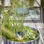 Heissner Solar-Wassergarten Aquatopia mit Wasserpflanzen im grauen Pflanzgefäß.