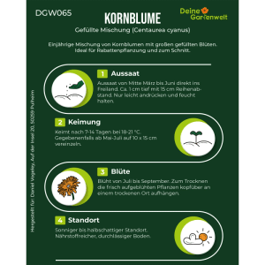 Infografik: Anleitung für Kornblumen Gefüllte Mischung Samen. Zeigt Aussaat, Keimung, Blüte & Standort. Für Garten & Rabatten.