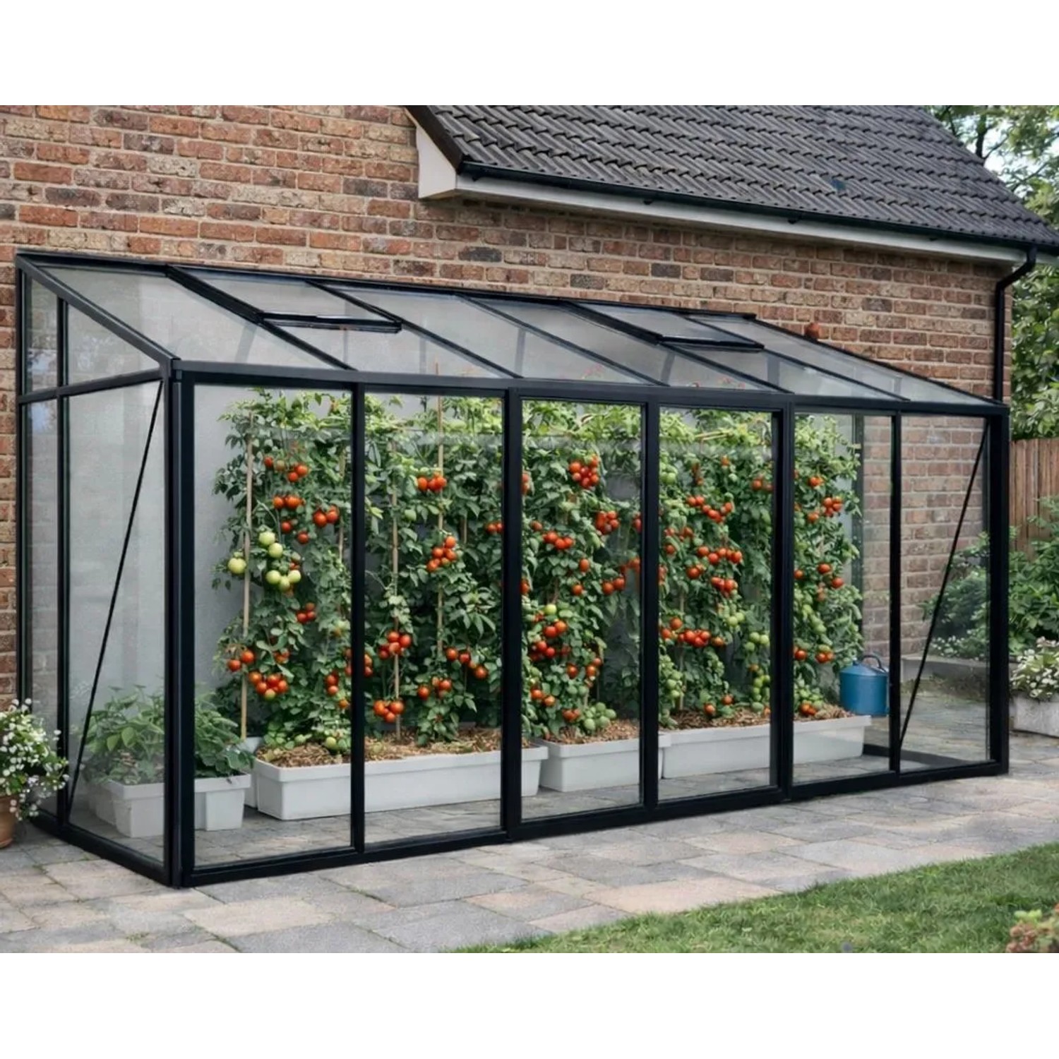 Bloomcabin Premium-Qualität Gewächshaus Wandgewächshaus GHLT10