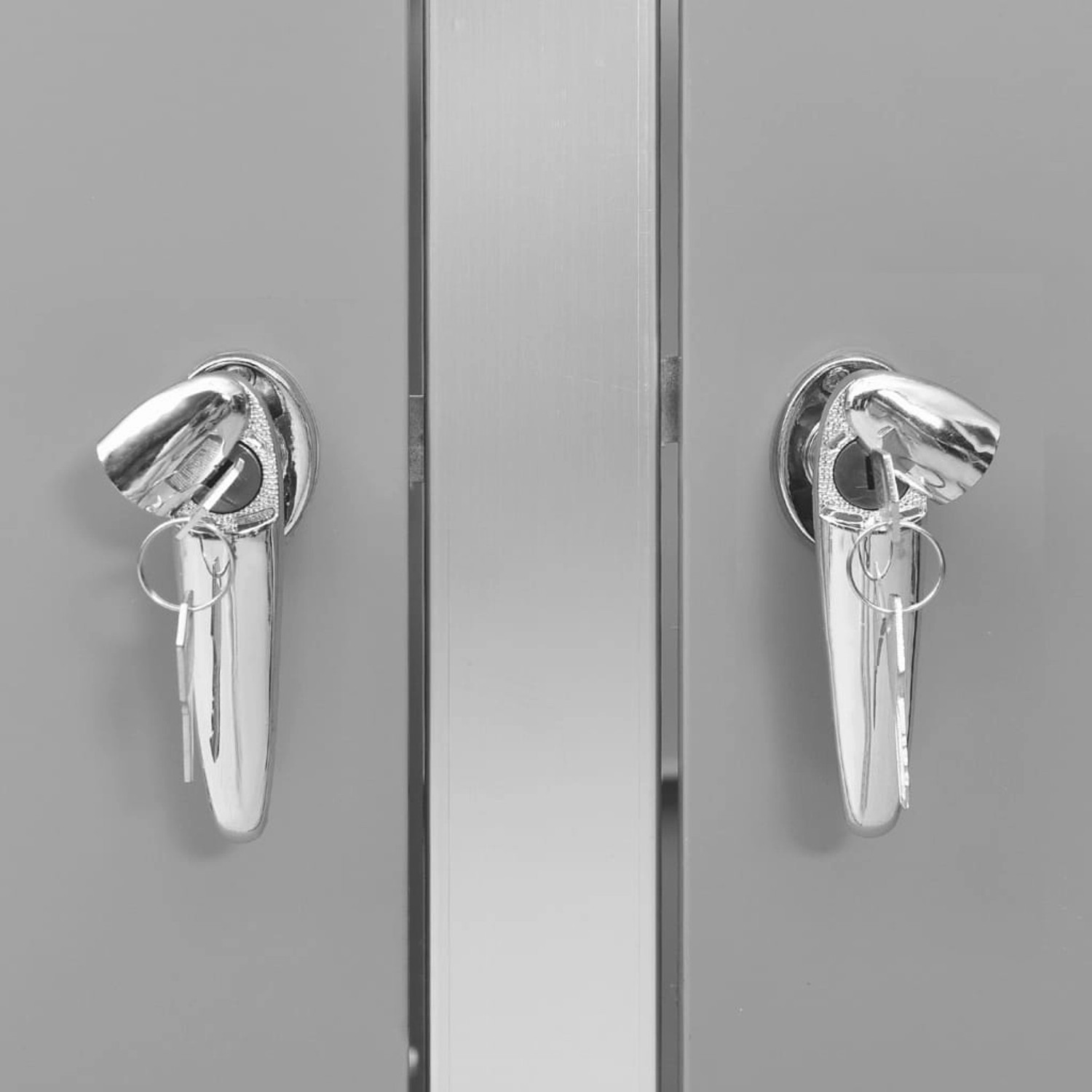 Detailaufnahme: Mülltonnenbox aus Edelstahl mit Schloss und Schlüssel.