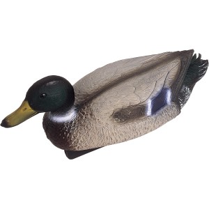 Oase Teichfigur Stockente Erpel aus Kunststoff für die Teichdekoration.